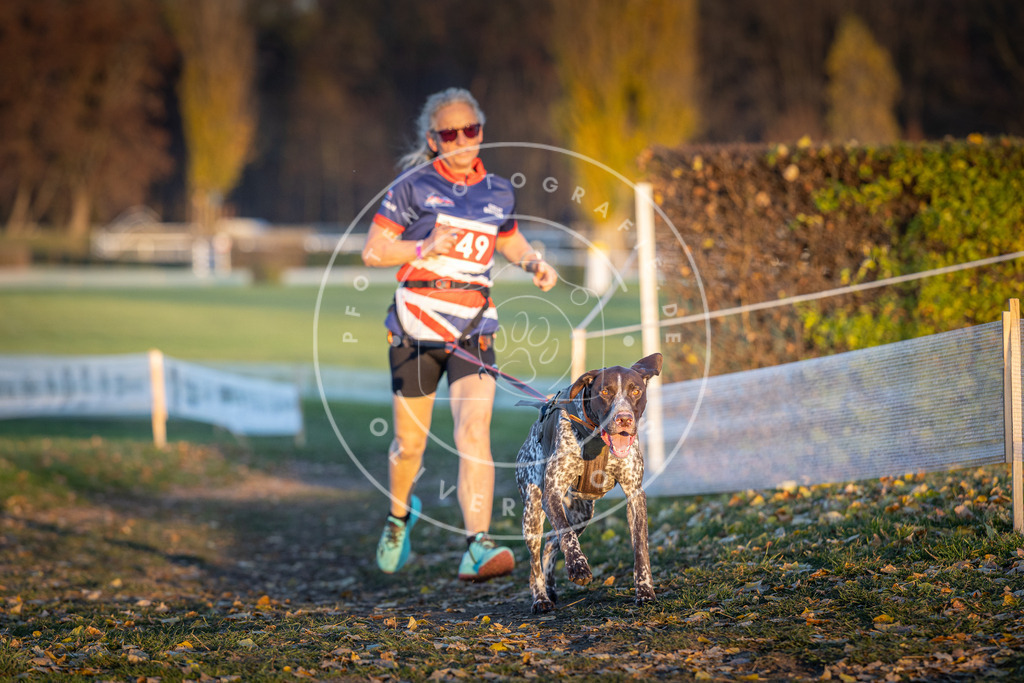 CaniXpix_DV3A5563 | Hundefotografie, Tierfotograf, Pfotenfotografie, Fotoshooting Hund, Hunde Portrait, Hundesport, Hundeportraits, Heideshooting, Hunde, Sportfotograf, Hundefotograf, Turnierhundsport, THS,  - Realisiert mit Pictrs.com