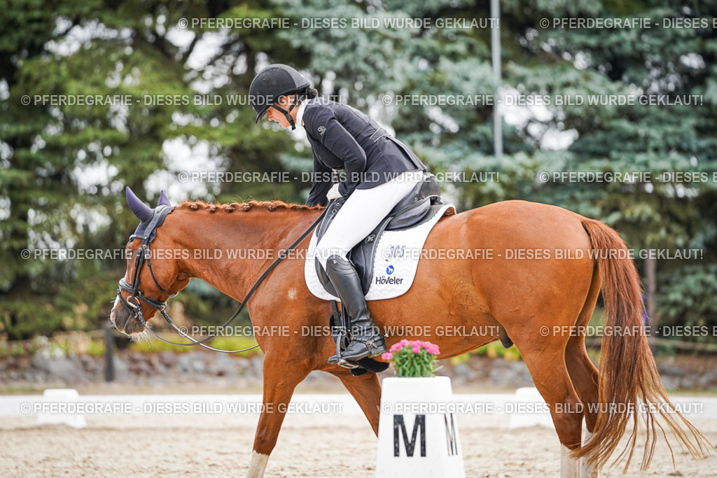 DSC01800 | Pferdegrafie