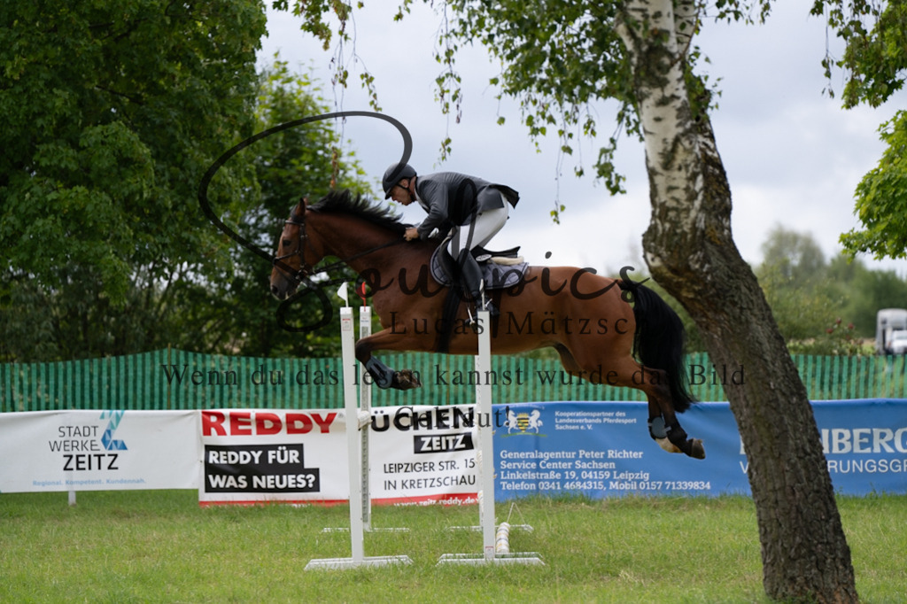 A7V03995 | Pferdefotograf