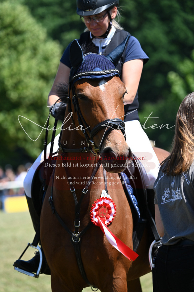 DSC_0888 | Pferde- und Turnierfotografie in Westsachsen. Pferdeportraits, Auftragszeichnungen und intuitive Kunst.