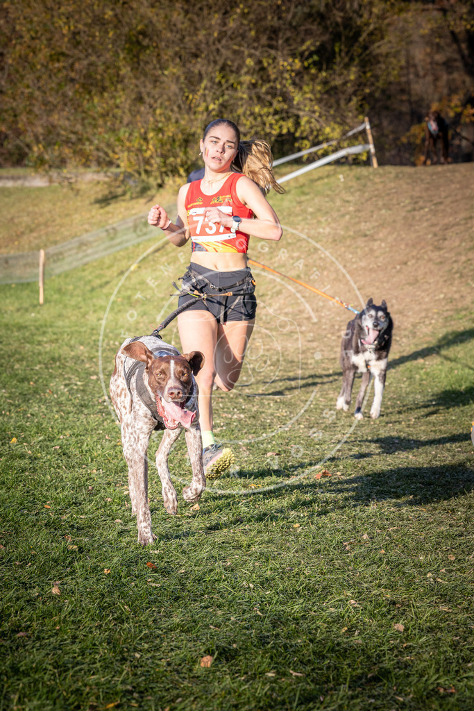 CaniXpix_0L8A9816 | Hundefotografie, Tierfotograf, Pfotenfotografie, Fotoshooting Hund, Hunde Portrait, Hundesport, Hundeportraits, Heideshooting, Hunde, Sportfotograf, Hundefotograf, Turnierhundsport, THS,  - Realisiert mit Pictrs.com