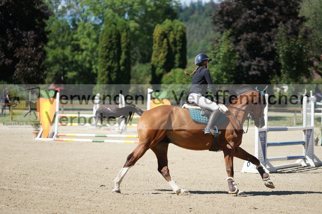 DSC07675 | equestrian-live-com