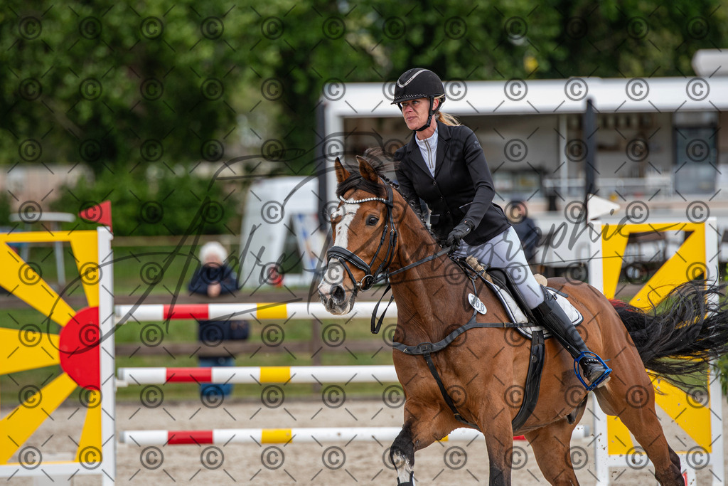 KPT_0267 | andre_photographic