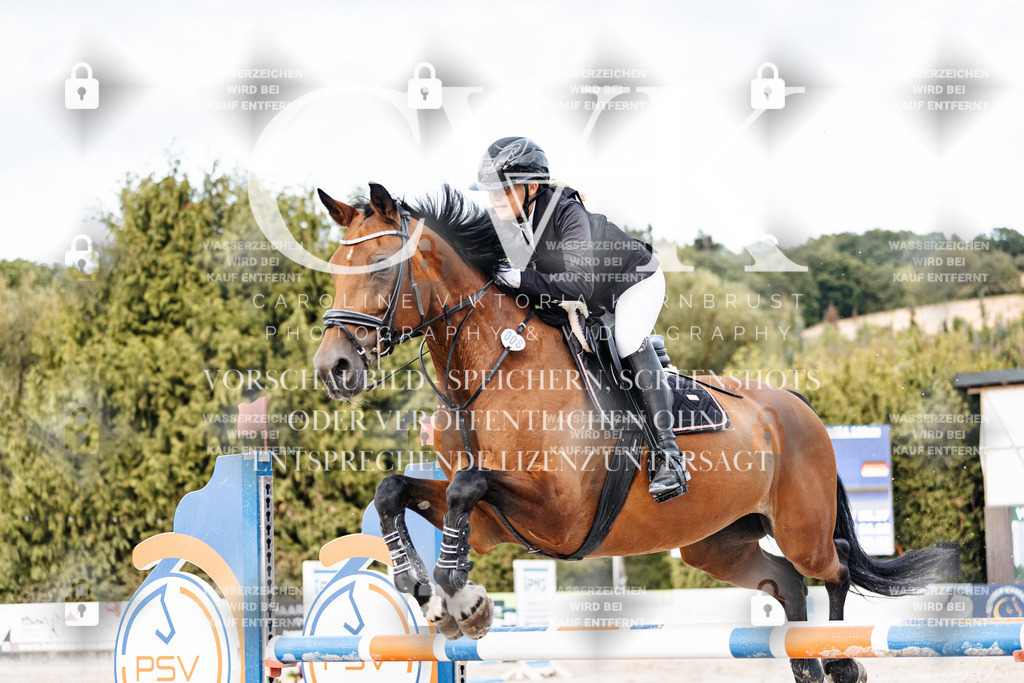 CK903919 | Turnierfotografie Pferdefotografie Trier Rheinland-Pfalz Pferdesport Reitsport Tierfotografie Sportfotografie Pferdevideo Pferdevideografie Equestrianvideography equestrianphotography  - Realisiert mit Pictrs.com