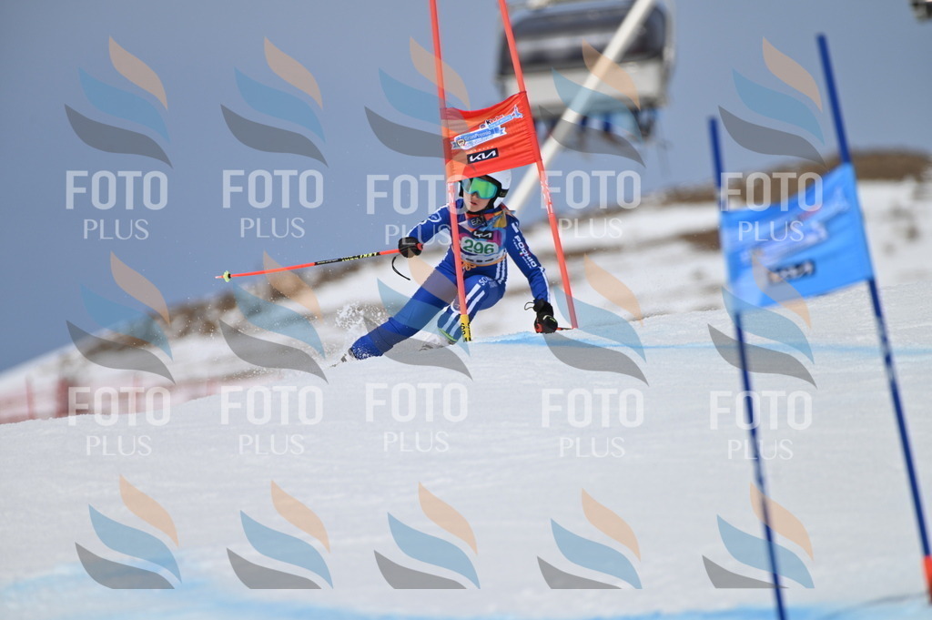 BGV_5896 | holidayphoto