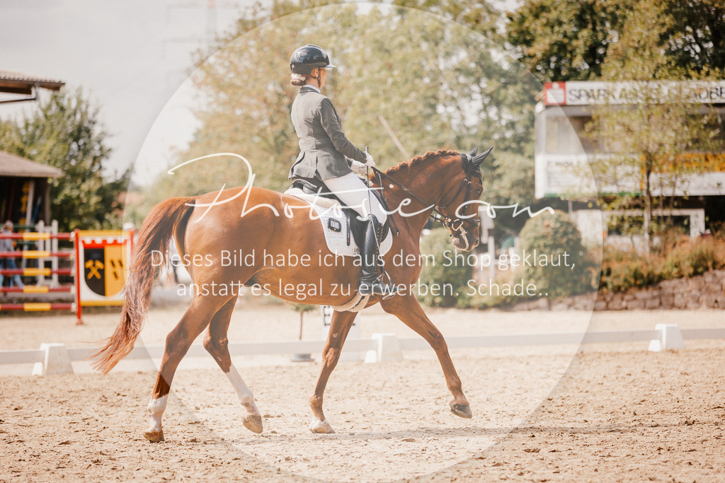 3I6A6064 | Stimmungsvolle Portraits und Reitsportfotografie im Ruhrgebiet und im Münsterland.

Pferdefotografie, Hundefotografie, Tierfotografie, Reportagen, Portraits von Tier und Mensch, Turnierfotografie in Bochum, Recklinghausen, Marl, Haltern am See, Dülmen.. - Realisiert mit Pictrs.com