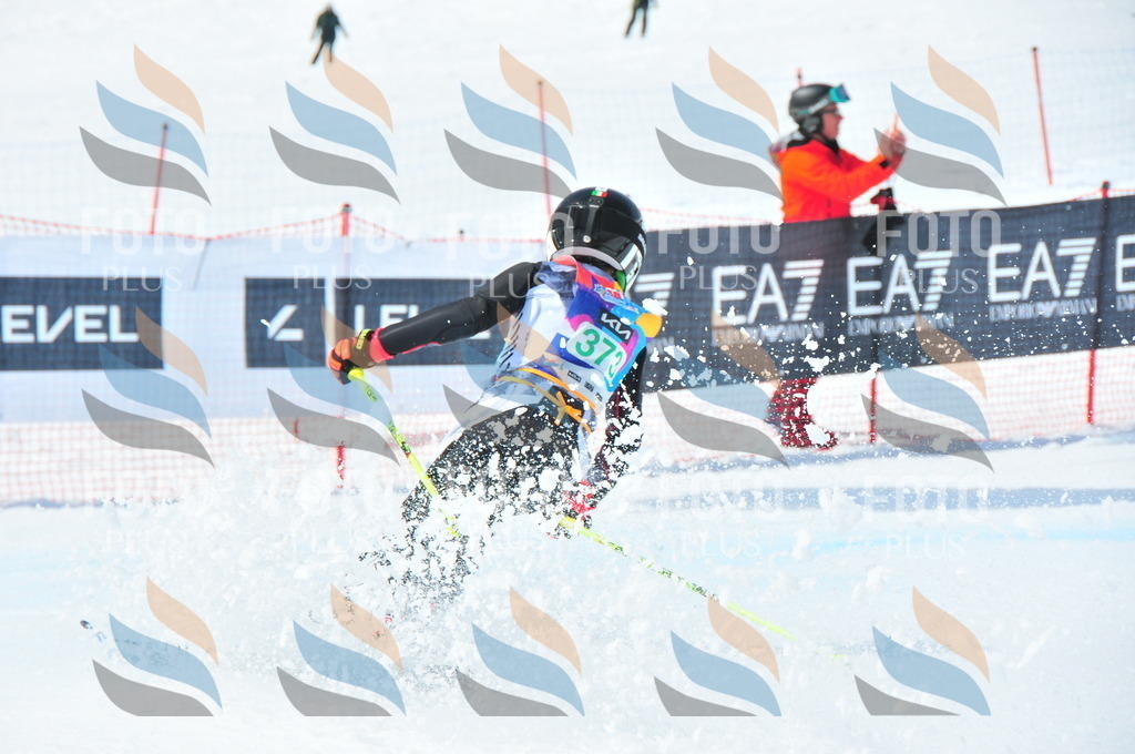 DSC_3333 | holidayphoto