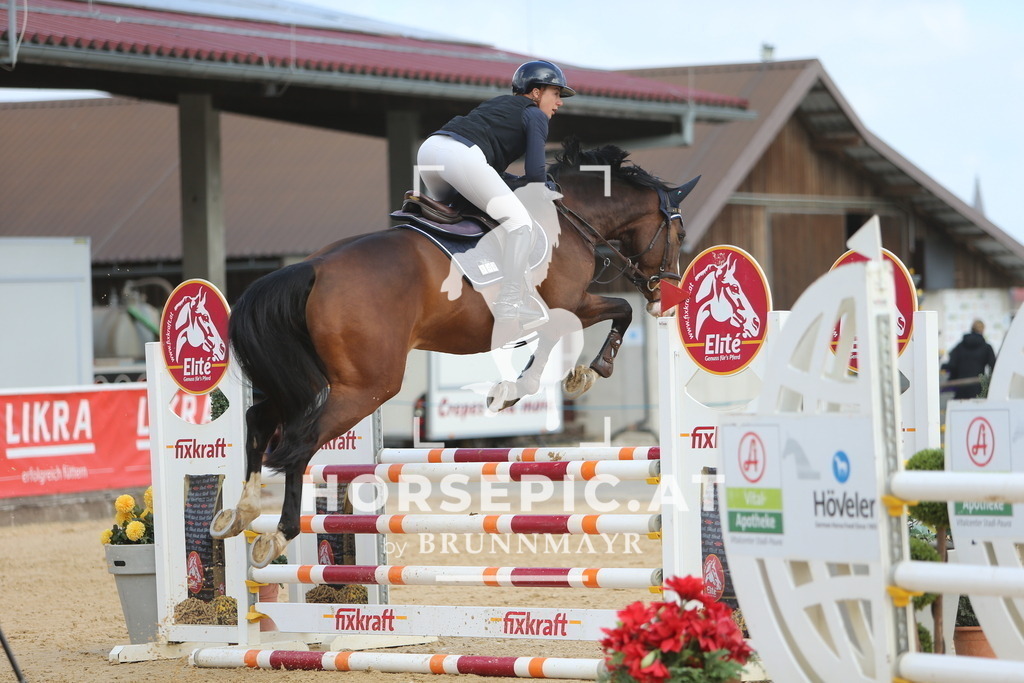 DL2Q8930 | Willkommen bei Brunnmayr - Design & Fotografie – Ihrem Spezialisten für Reitturniere und Pferdeveranstaltungen in Oberösterreich, Salzburg und Bayern! Seit über 17 Jahren sind wir leidenschaftlich dabei.