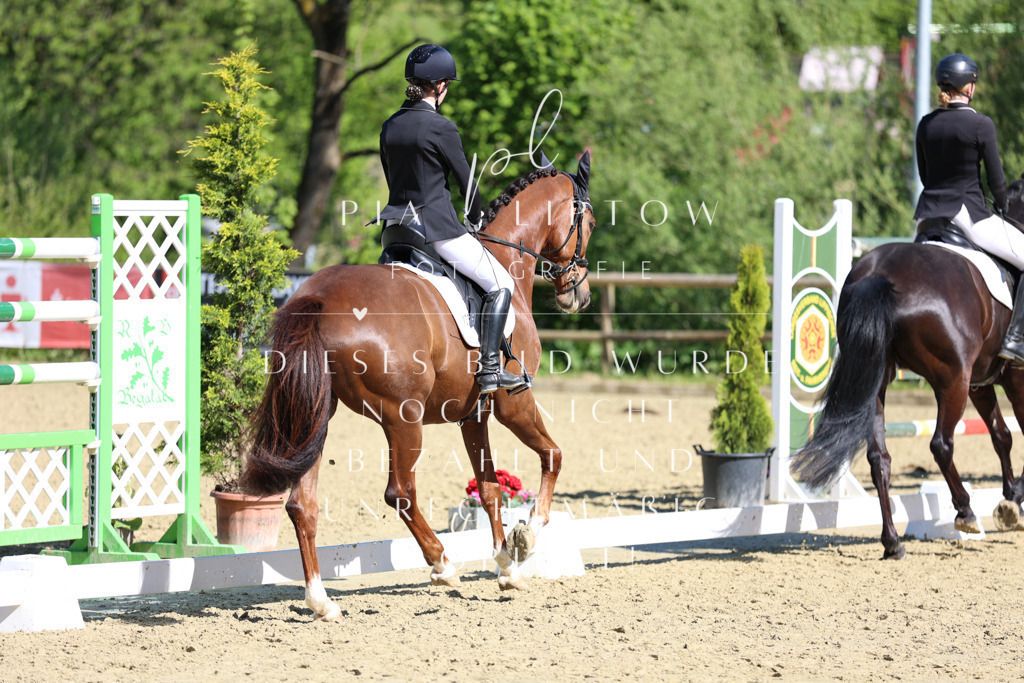 IMGT0261 | pl-fotografie