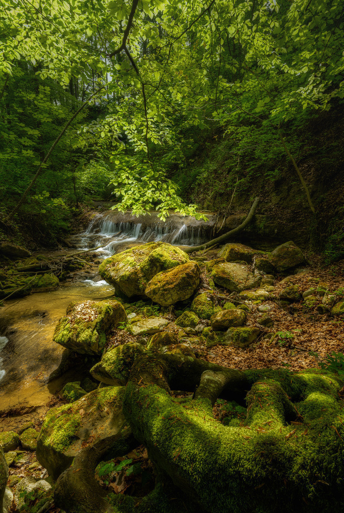 Wasserfall im Erlenbacher Tobel | Wiederum ein kleiner, feiner Wasserfall im Erlenbacher Tobel bei Herrlieberg - Realisiert mit Pictrs.com