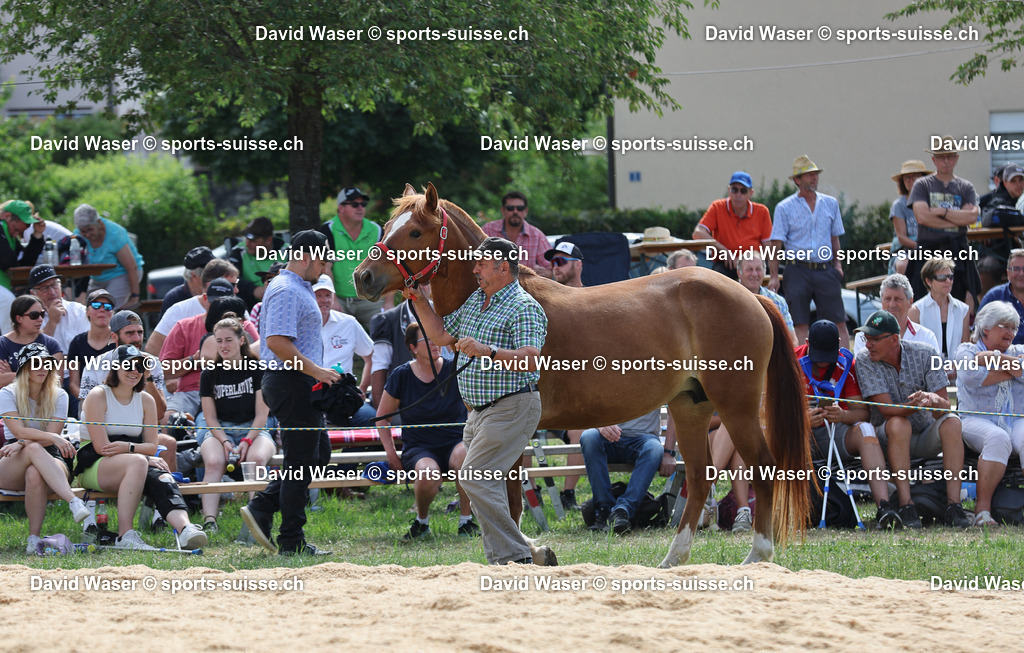 F_te Romande de Lutte suisse _ Romanel-sur-Lausanne le 16.07.2023 Photos Waser David _ sports-suisse.ch _ | sports-suisse.ch