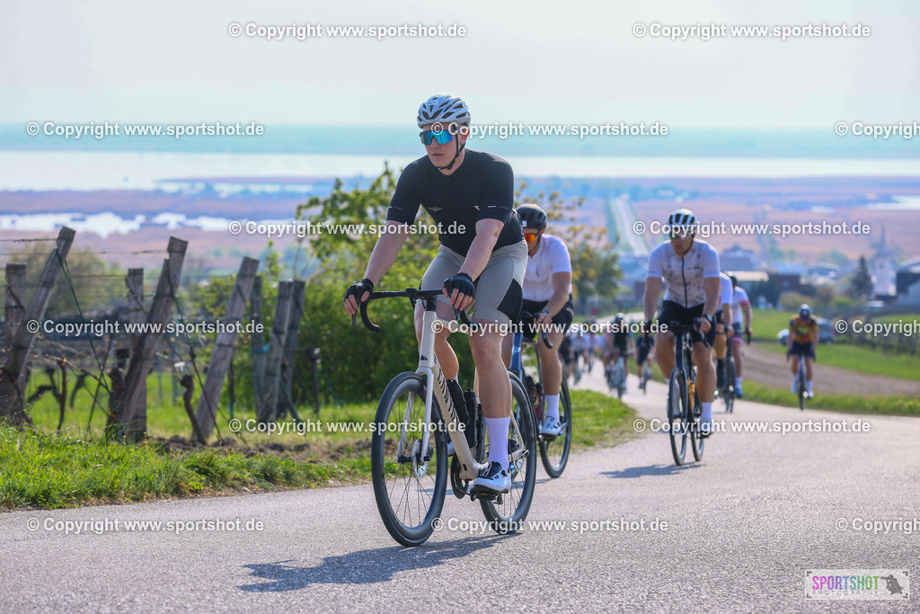 TRA_0185 | Neusiedlersee Radmarathon 2026@sportshot_your_pictrs #yourpictures#roadtowm2029 #nrm #neusiedlerseeradmarathon #neusiedlersee #neusiedlerseetourismus #burgenland #mörbisch #nrm26 #burgenlandtourismus #voglundco #poweredbyburgenlandtourismus #radsport #rad #marathon #ucigranfondo #visitburgenland #ucigranfondoworldseries