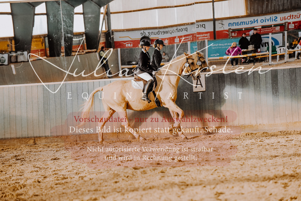 DSC_7667 | Pferde- und Turnierfotografie in Westsachsen. Pferdeportraits, Auftragszeichnungen und intuitive Kunst.