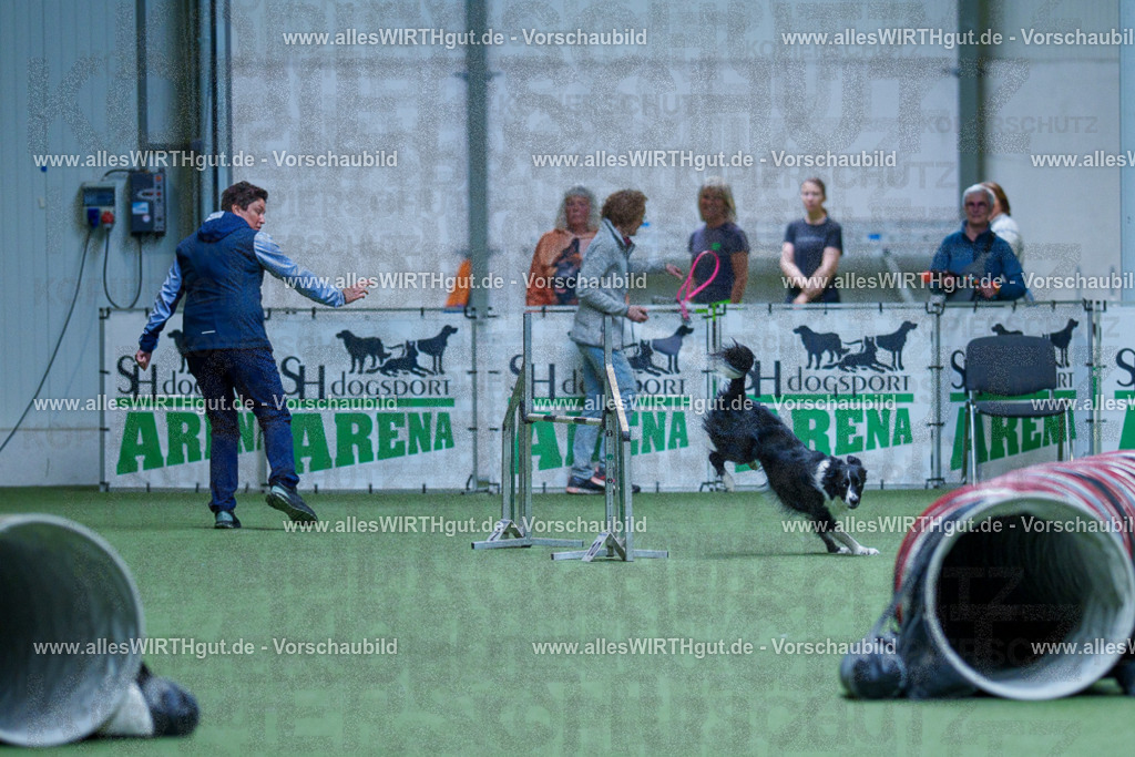 @allesWIRTHgut_Tierfotografie - www.allesWIRTHgut.de - 2604251430-7R504855 | Professionelle Tierfotografie in Mönchengladbach von Daniel Wirth (allesWIRTHgut). Liebevolle & natürliche Bilder von Hunden & Katzen für unvergessliche Erinnerungen.