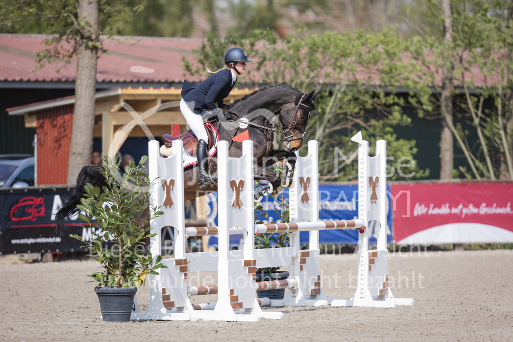 220426_Mühlen_SprPfA2-226 | Late Entry Mühlen
26.04.2022
02 Springpferde-A** 4-6j