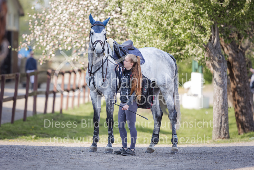 220426_Mühlen_05SprgPf-M-501 | Mühlen Late Entry
26.04.2022
05 Springpferdeprüfung Kl.M* 5-7j.