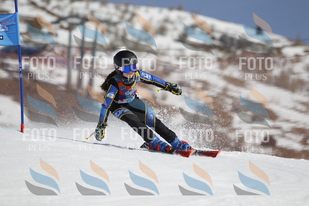 _U3G0083 | holidayphoto