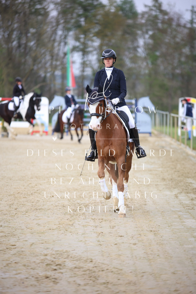 IMGT7471 | pl-fotografie