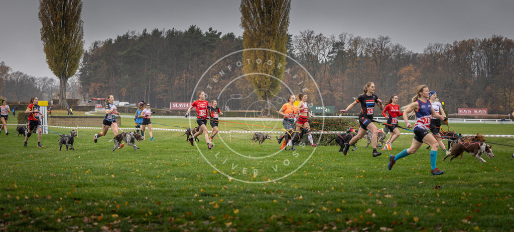 CaniXpix_DV3A8811 | Hundefotografie, Tierfotograf, Pfotenfotografie, Fotoshooting Hund, Hunde Portrait, Hundesport, Hundeportraits, Heideshooting, Hunde, Sportfotograf, Hundefotograf, Turnierhundsport, THS,  - Realisiert mit Pictrs.com