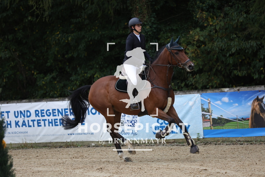 0P6A4908 | Willkommen bei Brunnmayr - Design & Fotografie – Ihrem Spezialisten für Reitturniere und Pferdeveranstaltungen in Oberösterreich, Salzburg und Bayern! Seit über 17 Jahren sind wir leidenschaftlich dabei.