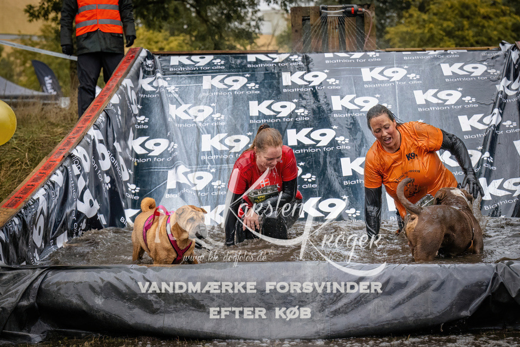 1237_ZZ90341 | kk-dogfotos