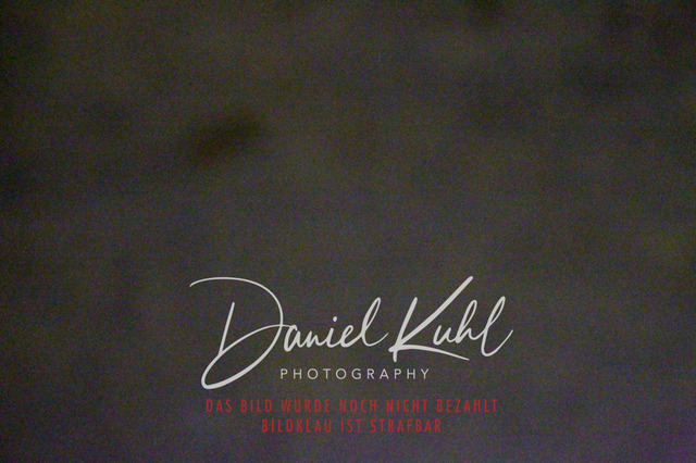 DKP44176 | Turniersportfotografie; Pferdefotografie; Dressurfotografie