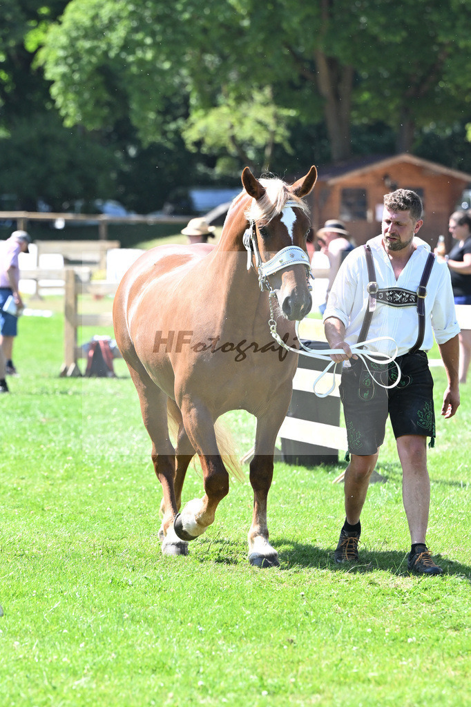 Kat-Nr. 28 Phillis v. Sir_Kotz_18250506 | hf-fotografie - Realizzato con Pictrs.com