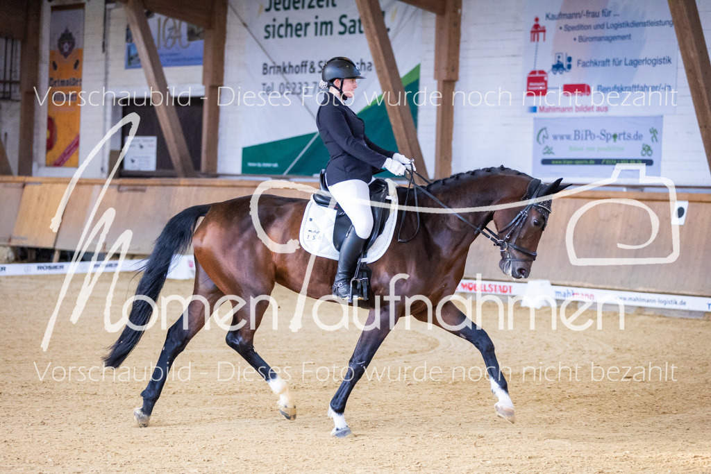 Sth-A-Dre-1St-012 | MomenTaufnahmen Pferdesportfotos