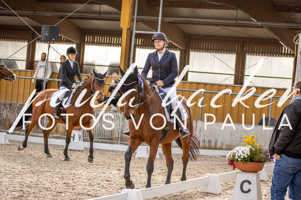 IMG_3420 | Erleben Sie dynamische Sport- und emotionale Tierfotografie in Süddeutschland mit Fotos von Paula. Spezialisiert auf Pferde- und Hundefotografie sowie Sportevents. Kontaktieren Sie mich für einzigartige und ausdrucksstarke Bilder Ihrer besonderen Momente. - Realisiert mit Pictrs.com