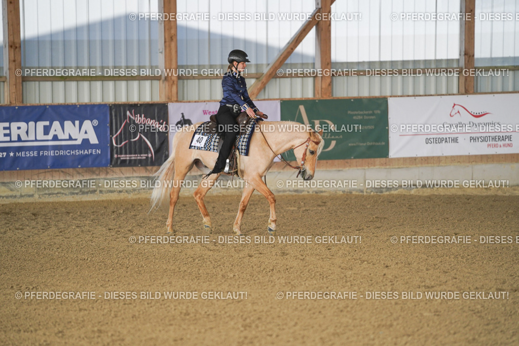 DSC09268 | Pferdegrafie