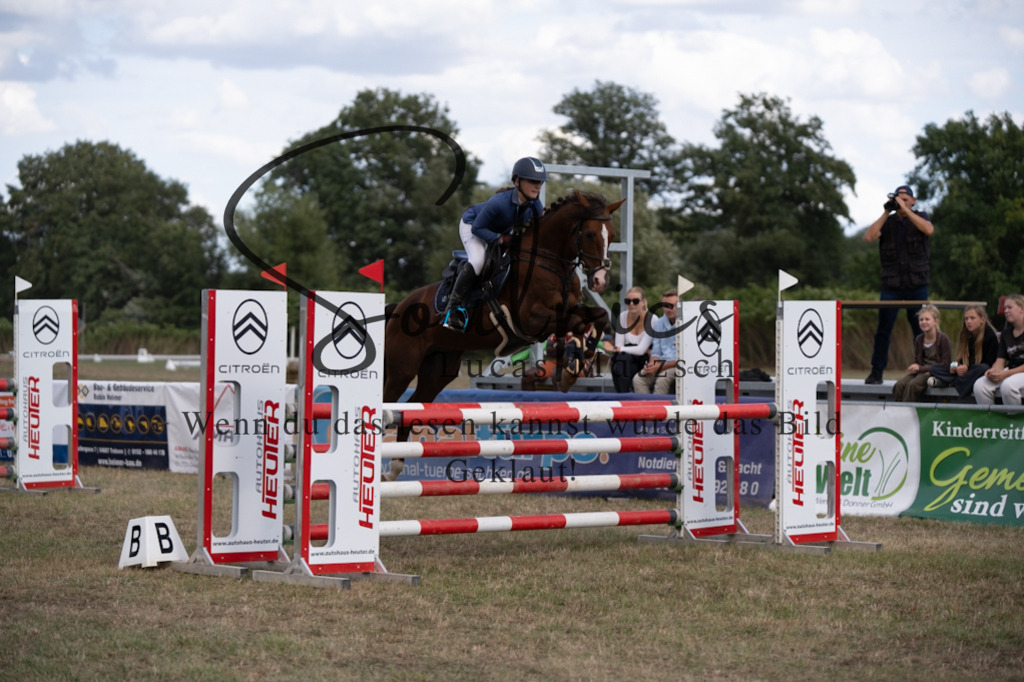 A7V09440 | Pferdefotograf