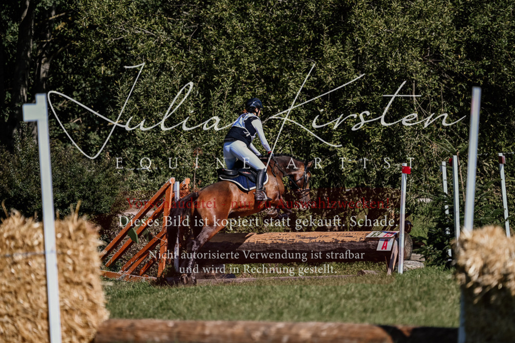 DSC_1307 | Pferde- und Turnierfotografie in Westsachsen. Pferdeportraits, Auftragszeichnungen und intuitive Kunst.