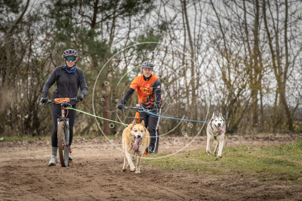 Pfotenfotografie_DV3A0179 | Hundefotografie, Tierfotograf, Pfotenfotografie, Fotoshooting Hund, Hunde Portrait, Hundesport, Hundeportraits, Heideshooting, Hunde, Sportfotograf, Hundefotograf, Turnierhundsport, THS,  - Realisiert mit Pictrs.com