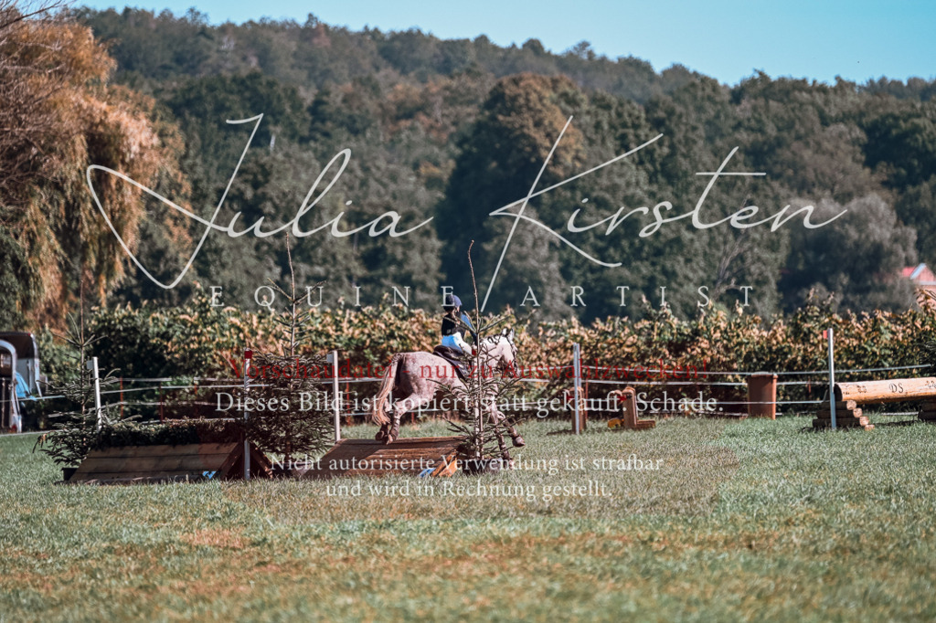 DSC_1159 | Pferde- und Turnierfotografie in Westsachsen. Pferdeportraits, Auftragszeichnungen und intuitive Kunst.