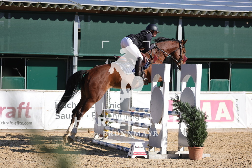 0P6A9399 | Willkommen bei Brunnmayr - Design & Fotografie – Ihrem Spezialisten für Reitturniere und Pferdeveranstaltungen in Oberösterreich, Salzburg und Bayern! Seit über 17 Jahren sind wir leidenschaftlich dabei.