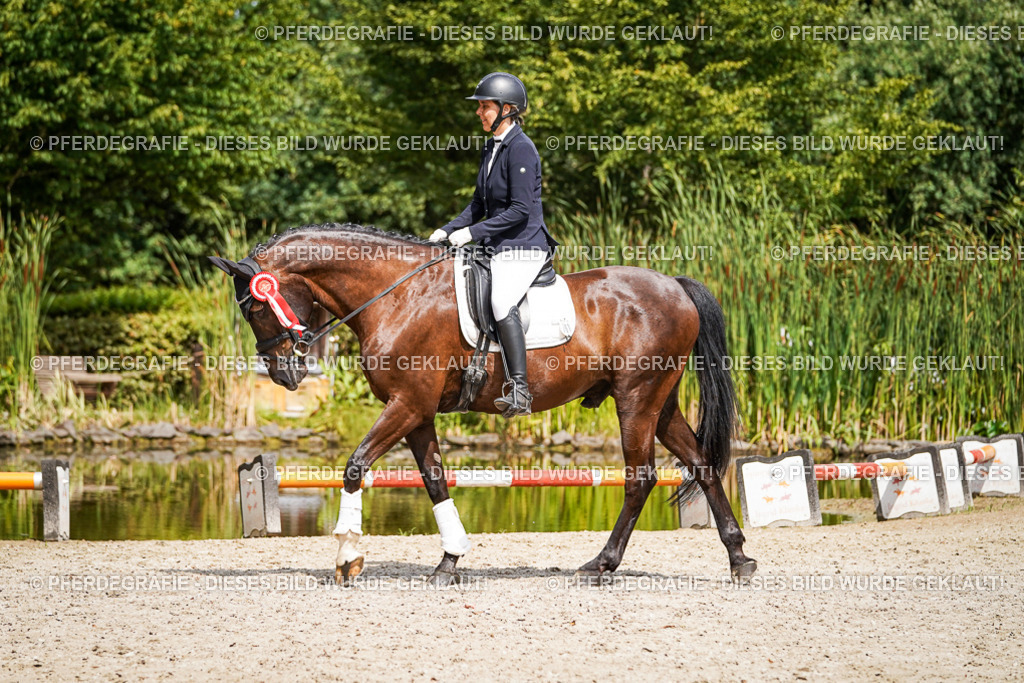 DSC02407 | Pferdegrafie