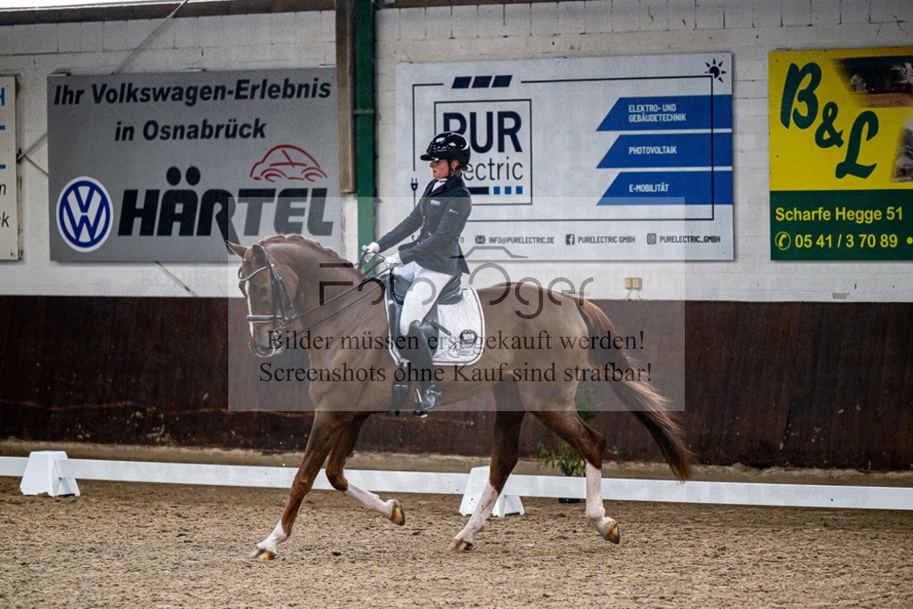 20240310-DOS_8405 | Entdecke hochwertige Reitturnierfotos von Foto Oger. Professionell, emotional und authentisch – jetzt Lieblingsmomente im Shop bestellen.Deutschlandweite Turnierfotografie. - Realisiert mit Pictrs.com