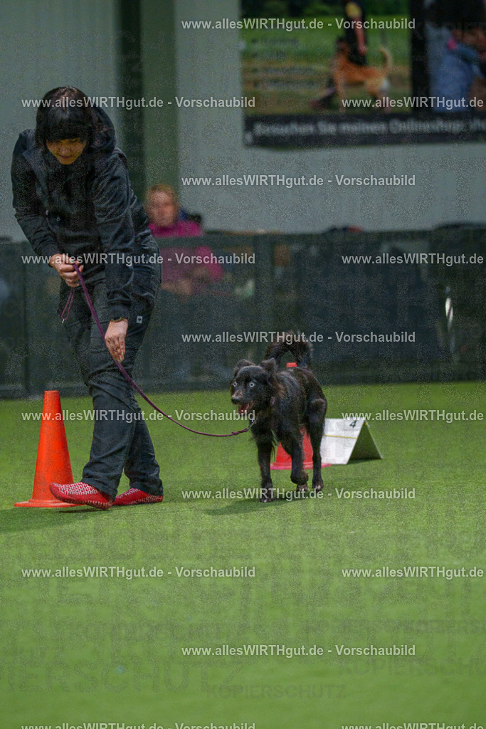 7R505734 | Professionelle Tierfotografie in Mönchengladbach von Daniel Wirth (allesWIRTHgut). Liebevolle & natürliche Bilder von Hunden & Katzen für unvergessliche Erinnerungen.