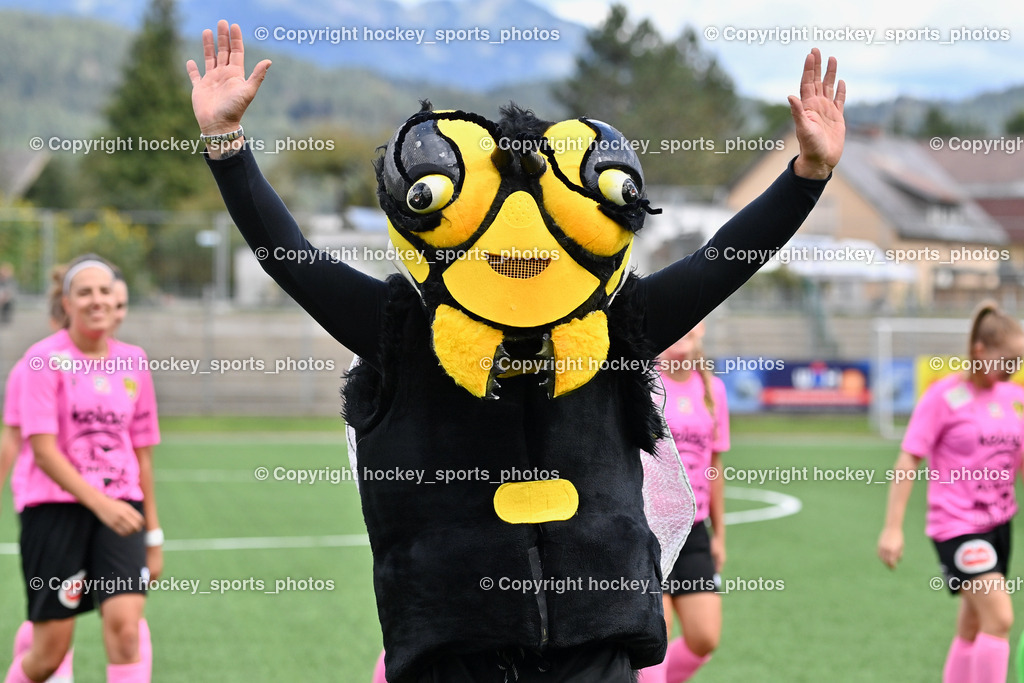 Liwodruck Carinthians Hornets vs. SV Weikersdorf 11.9.2022 | Hornets Maskottchen