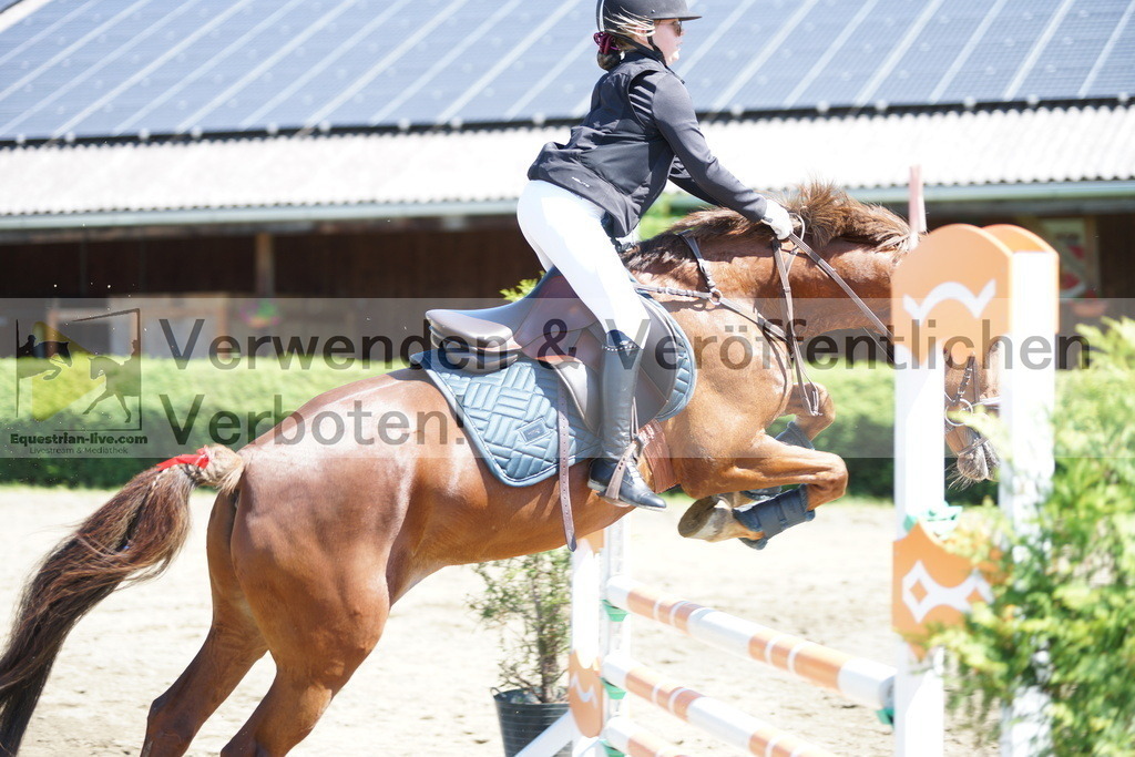 DSC05946 | equestrian-live-com