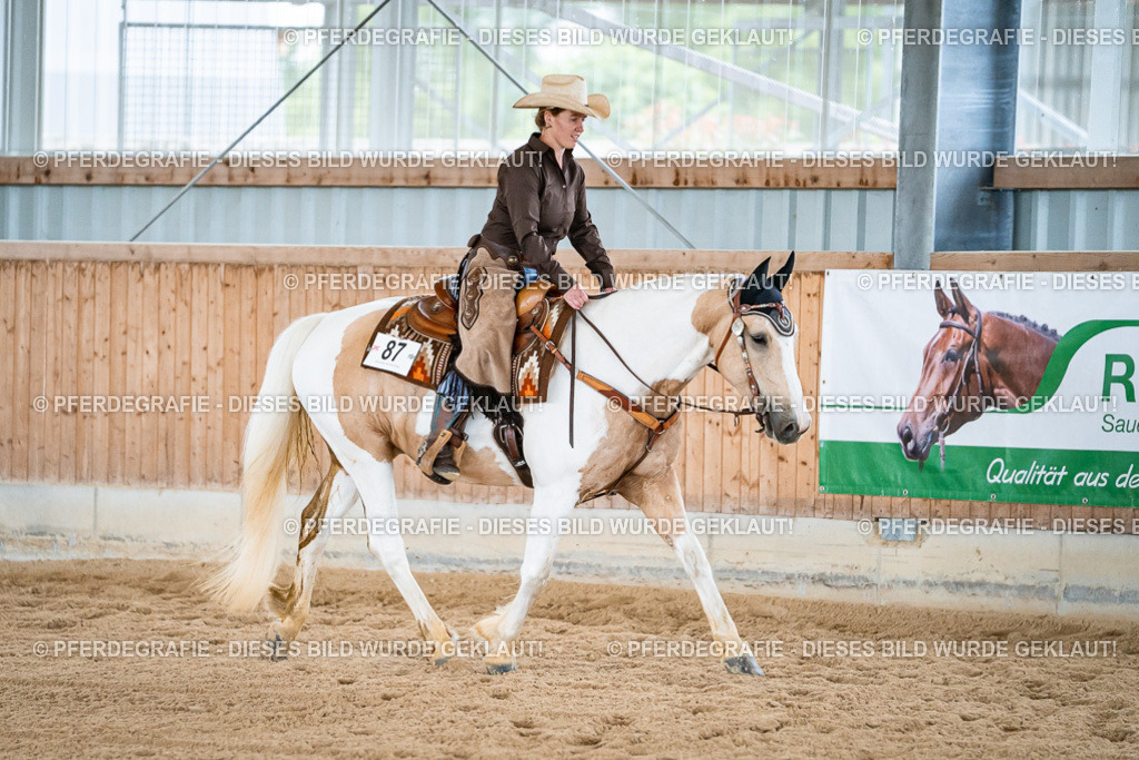 DSC09168 | Pferdegrafie