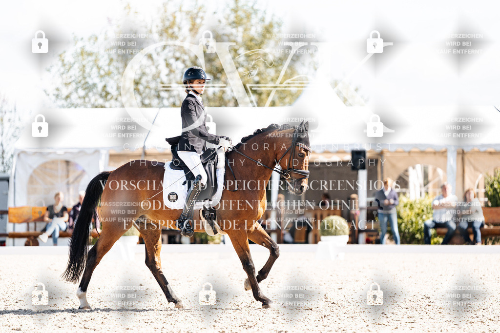 CK902723 | Turnierfotografie Pferdefotografie Trier Rheinland-Pfalz Pferdesport Reitsport Tierfotografie Sportfotografie Pferdevideo Pferdevideografie Equestrianvideography equestrianphotography  - Realisiert mit Pictrs.com