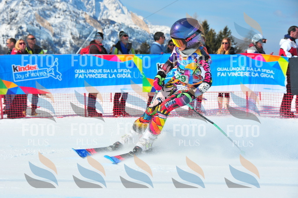 DSC_1036 | holidayphoto