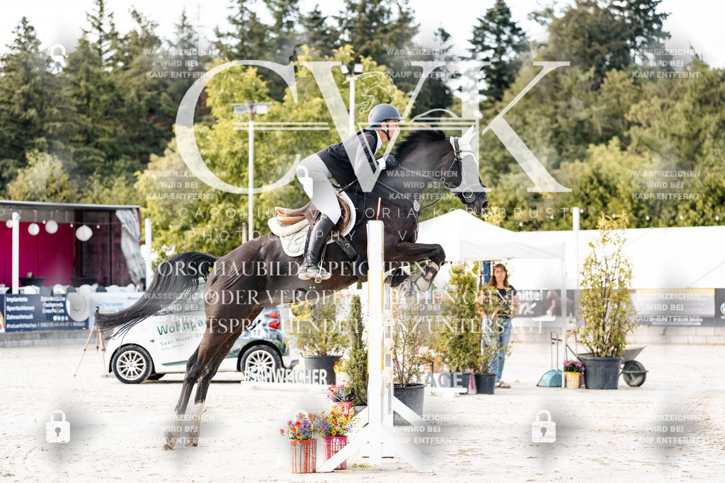 CK903199 | Turnierfotografie Pferdefotografie Trier Rheinland-Pfalz Pferdesport Reitsport Tierfotografie Sportfotografie Pferdevideo Pferdevideografie Equestrianvideography equestrianphotography  - Realisiert mit Pictrs.com