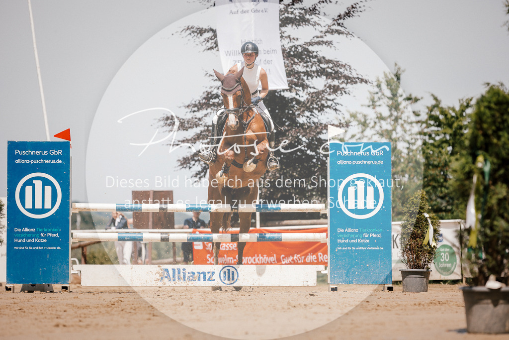 3I6A8055 | Stimmungsvolle Portraits und Reitsportfotografie im Ruhrgebiet und im Münsterland.

Pferdefotografie, Hundefotografie, Tierfotografie, Reportagen, Portraits von Tier und Mensch, Turnierfotografie in Bochum, Recklinghausen, Marl, Haltern am See, Dülmen.. - Realisiert mit Pictrs.com