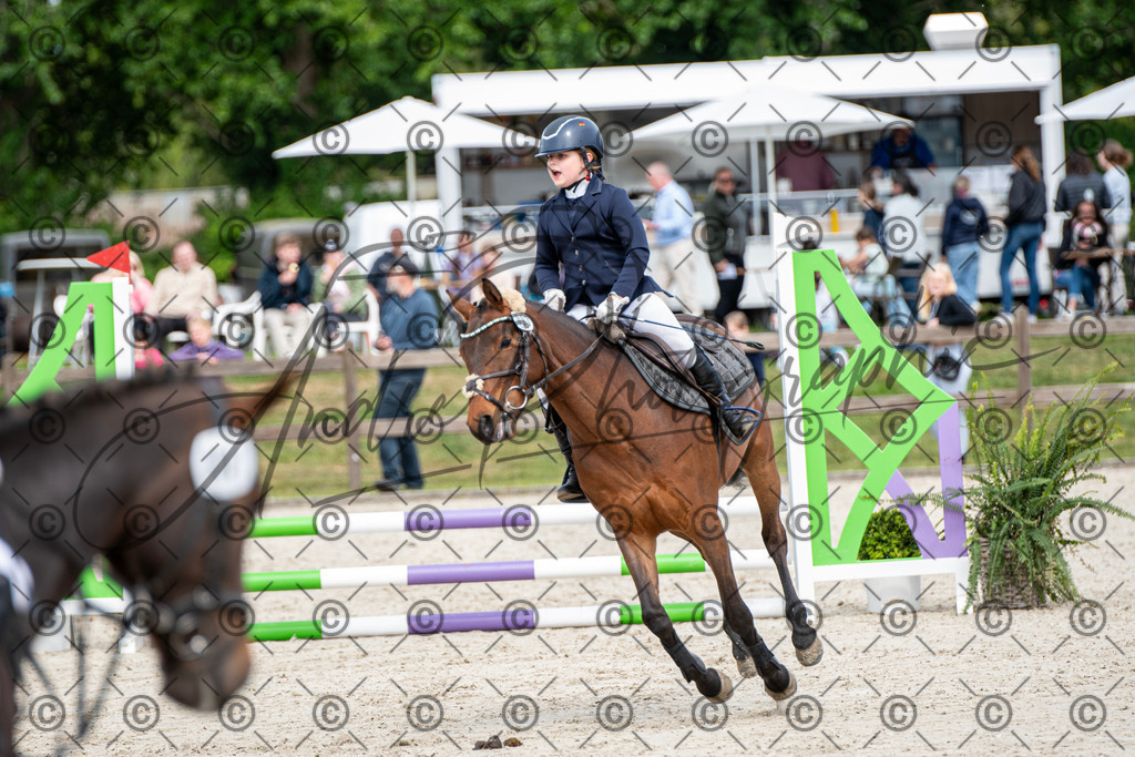 KPT_6022 | andre_photographic