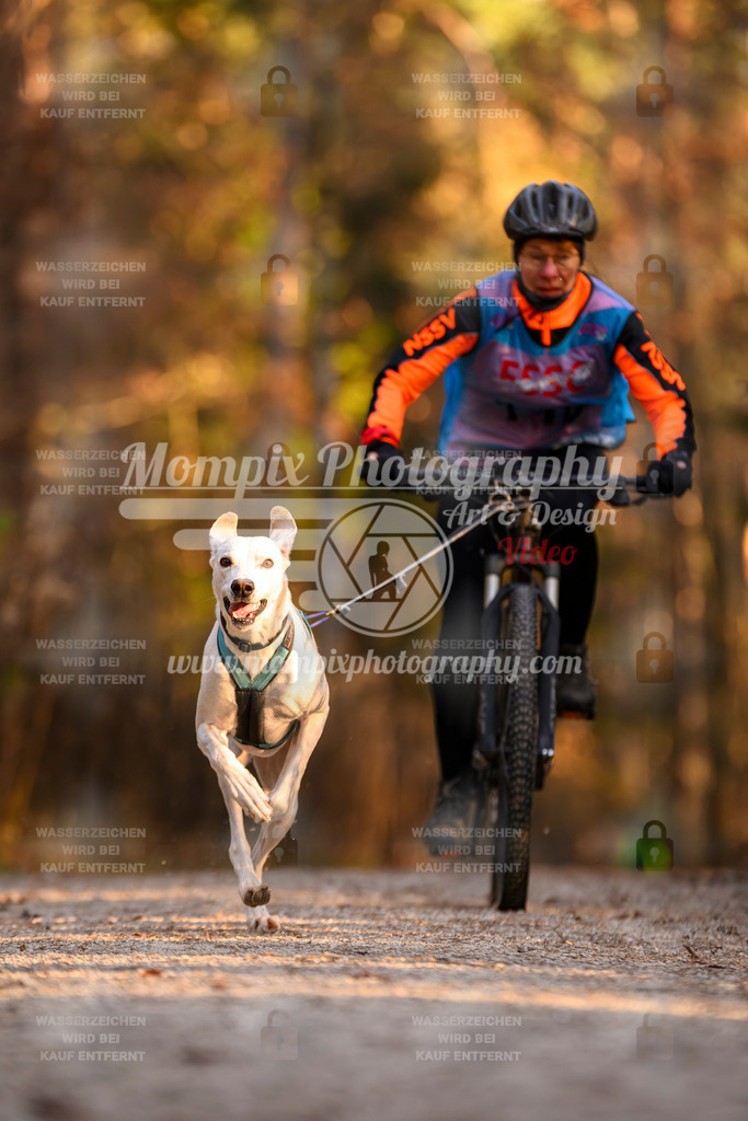 MompixPhotography_DM_AKDM_SO_2025_Bike-146 | PayLife