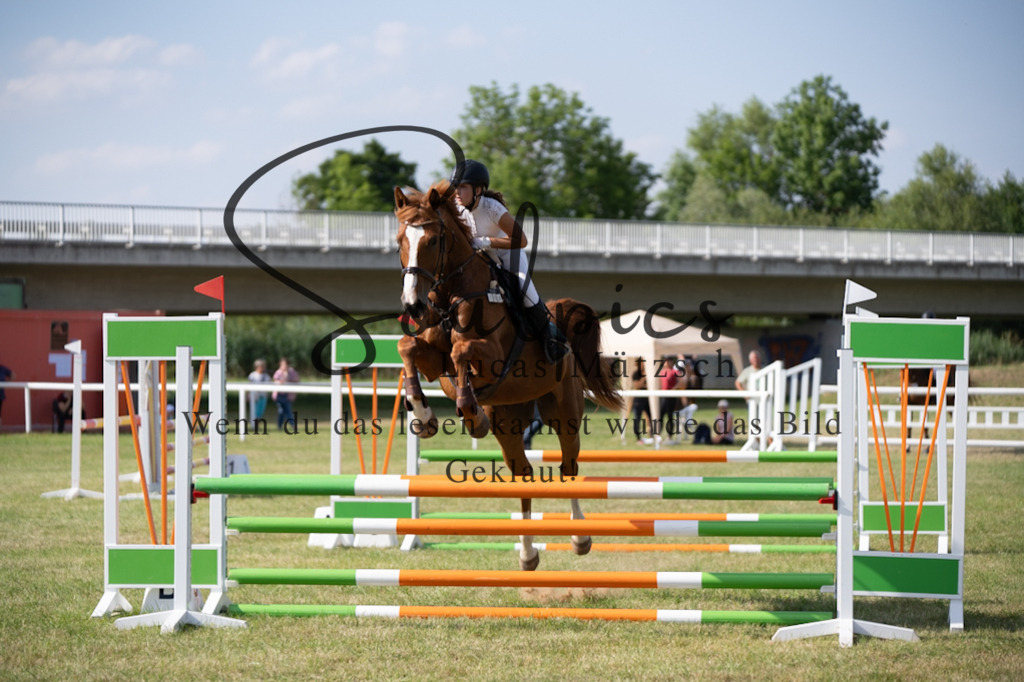 A7V00608 | Pferdefotograf