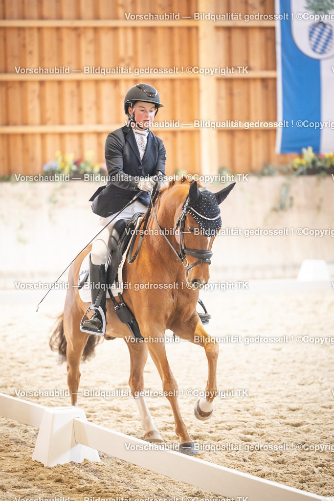 _D5A8691 | Emotionale Pferde- & People-Fotografie rund um Heidelberg, Leimen & Umgebung. Natürliche Fotos von Pferd, Mensch & Familie. Jetzt Termin sichern!