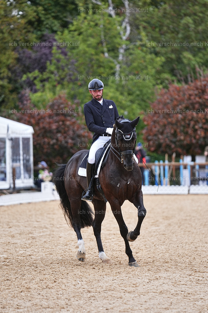 12-047-DRESSUR  S___  -Marixx-5234 | working equitationturnier fotograf videograf stoibphotography marixx film working equitation deutschland reitsport turnierfotografie eventfotografie equestrian events